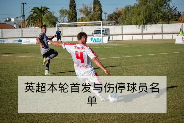 网球发球双误与一发得分率数据解读